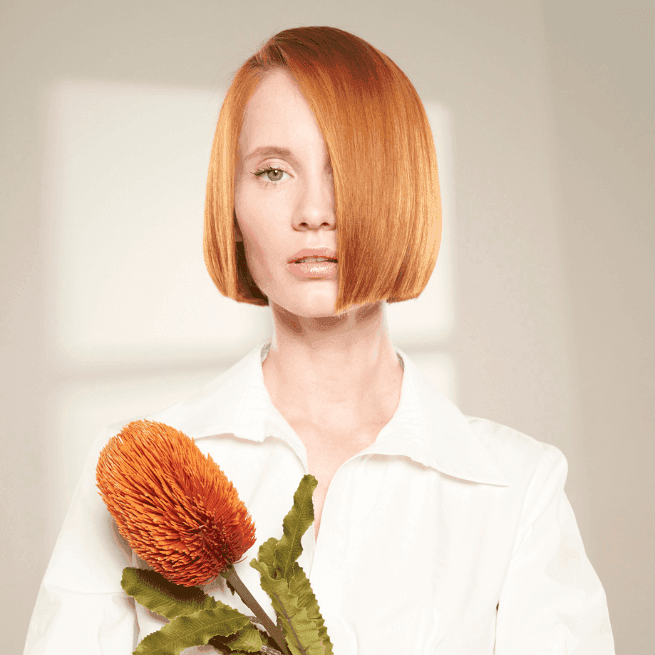 Illustrative image for 'Categories' section